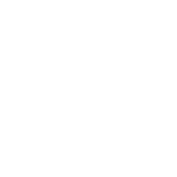 Not-for-Profit Organizations