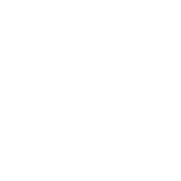 Information Technology