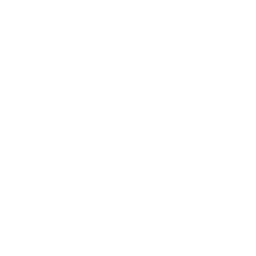 Not-for-Profit Organizations