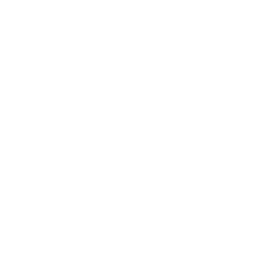 Consumer Packaged Goods (CPG)