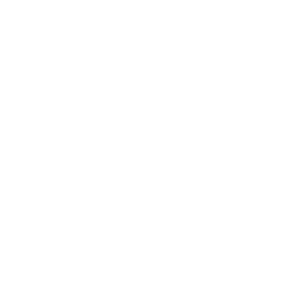 Professional Services