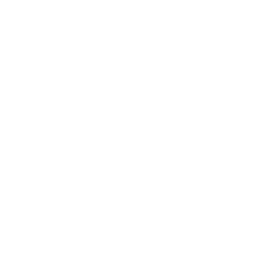 smartphone
