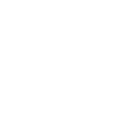 Wholesale Distribution